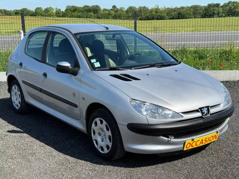 Peugeot 206 Phase I 1.1 i 60 ch POP ART — photo 3